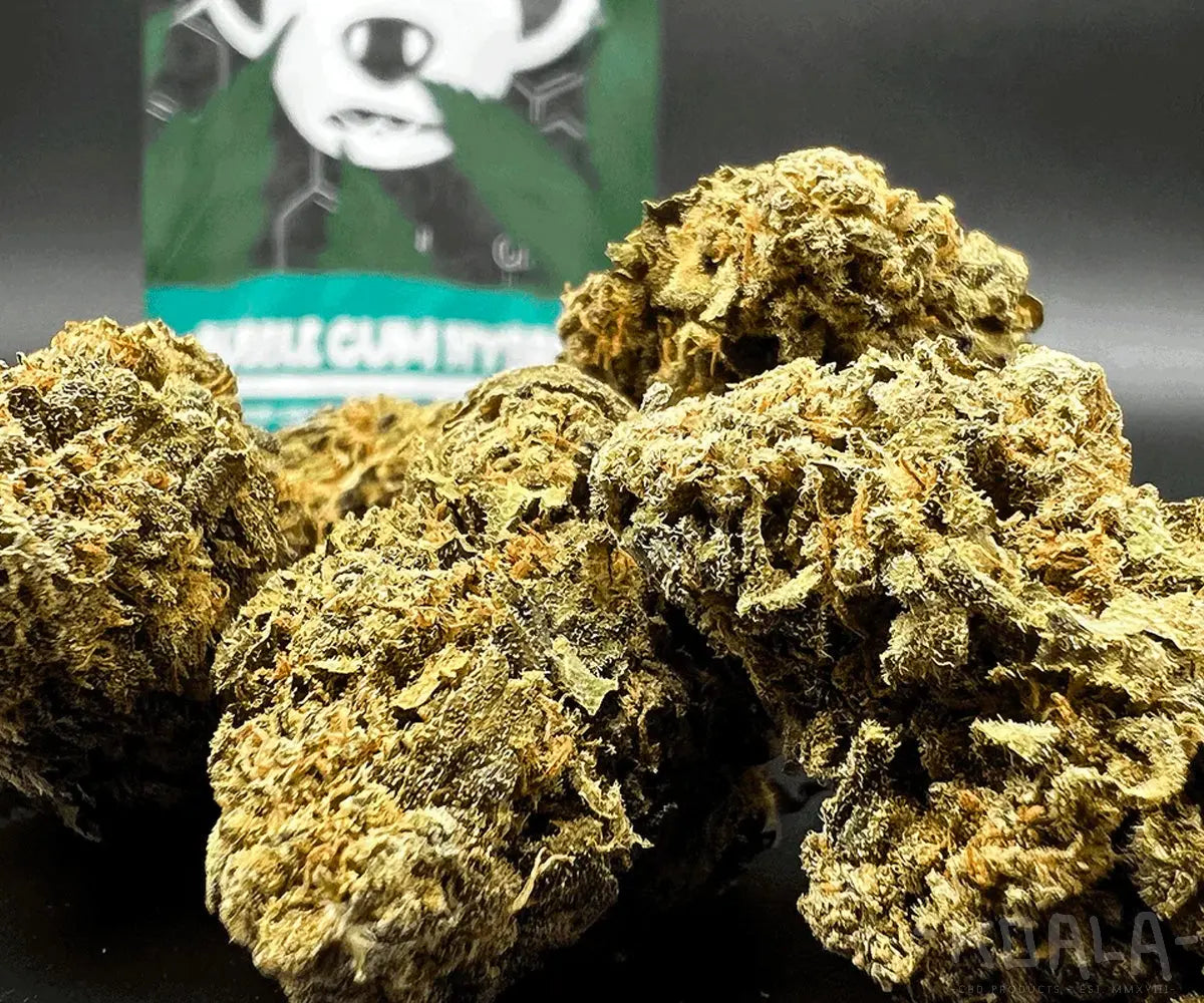 Bubble Gum Hybrid - CBD Blüten 5g