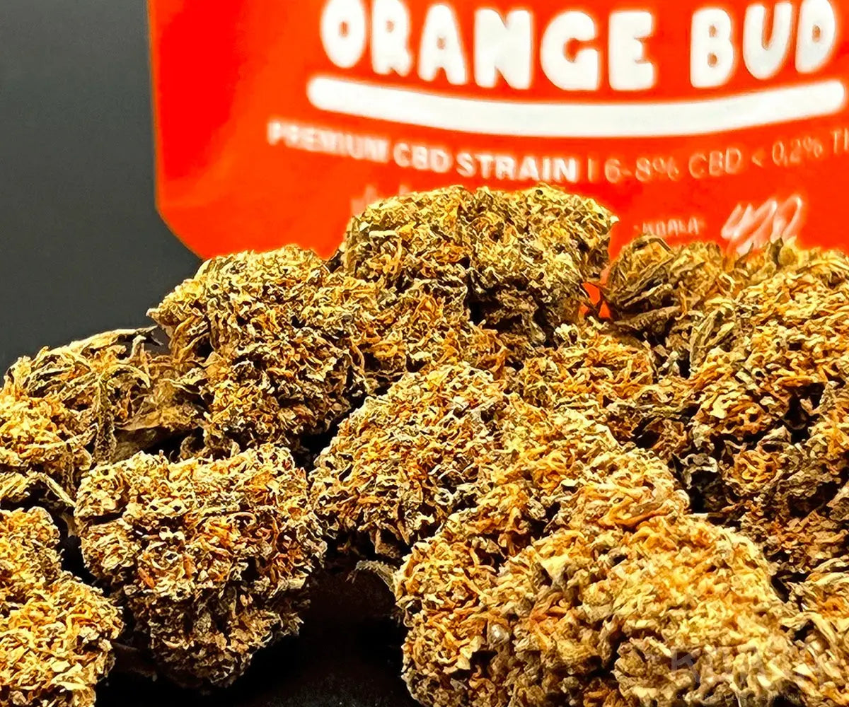 Orange Bud - CBD Blüten 5g