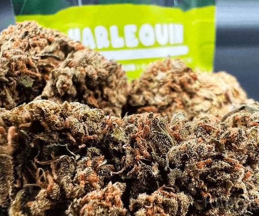 CBD Blüten Sorten Vergleich: Welche Sorte passt zu dir?