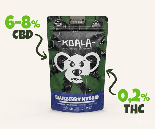 Blueberry Hybrid - CBD Blüten 5g - Koala CBD Blüten, Cannabis Samen