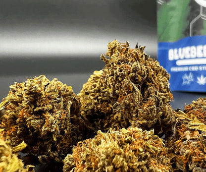 Blueberry Hybrid - CBD Blüten 5g